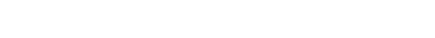 Elevenlabs Grant Logo